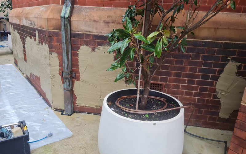 Patches of sacrificial render treatment applied over salt-affected brickwork at the base of a wall